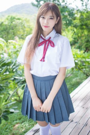 假面骑士甲斗王